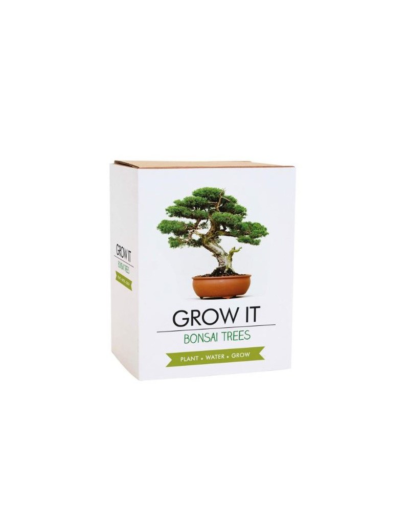 Kweek je eigen bonsai boom