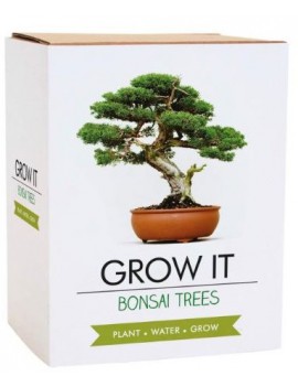 Kweek je eigen bonsai boom