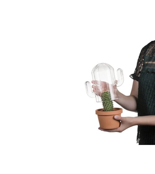 Glazen cactus terrarium - Bitten Design