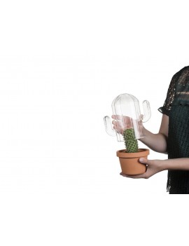 Glazen cactus terrarium - Bitten Design