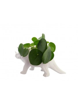 Dino bloempot tricerapot - Bitten Design