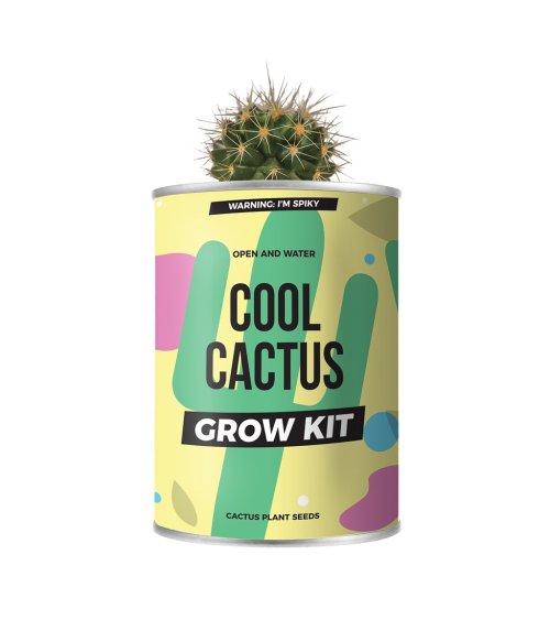 Kweek je eigen cactus