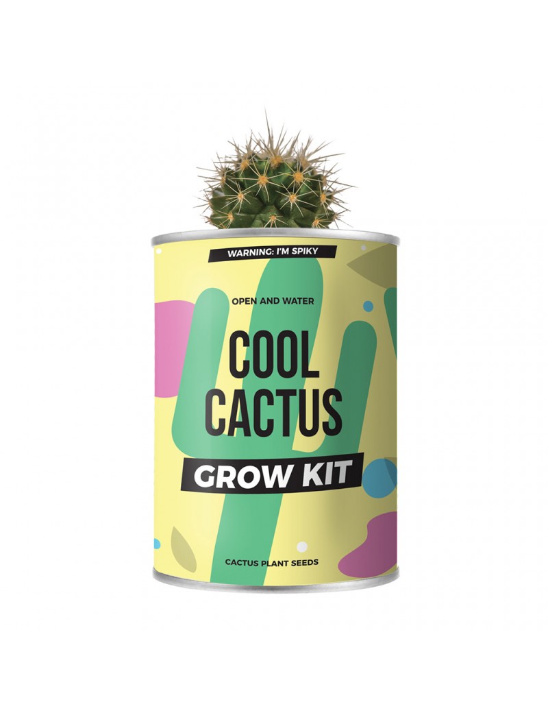 Kweek je eigen cactus