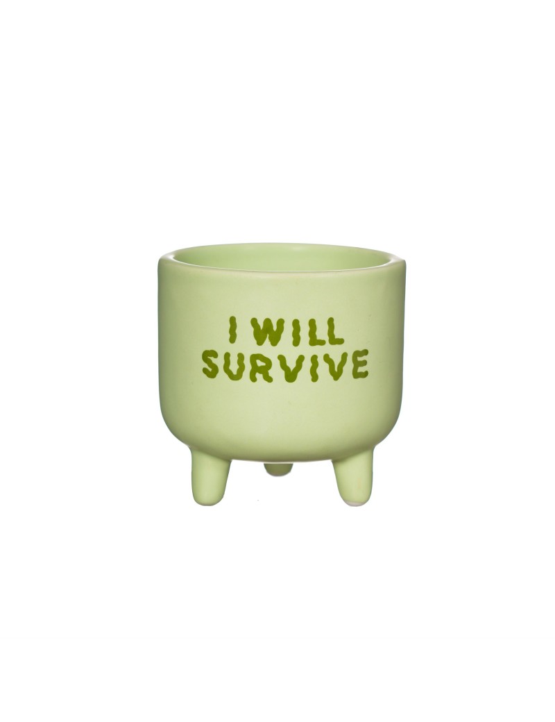 I will survive bloempotje - Sass & Belle