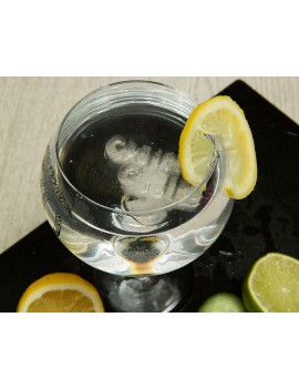 Ijsblokvormen gin tonic