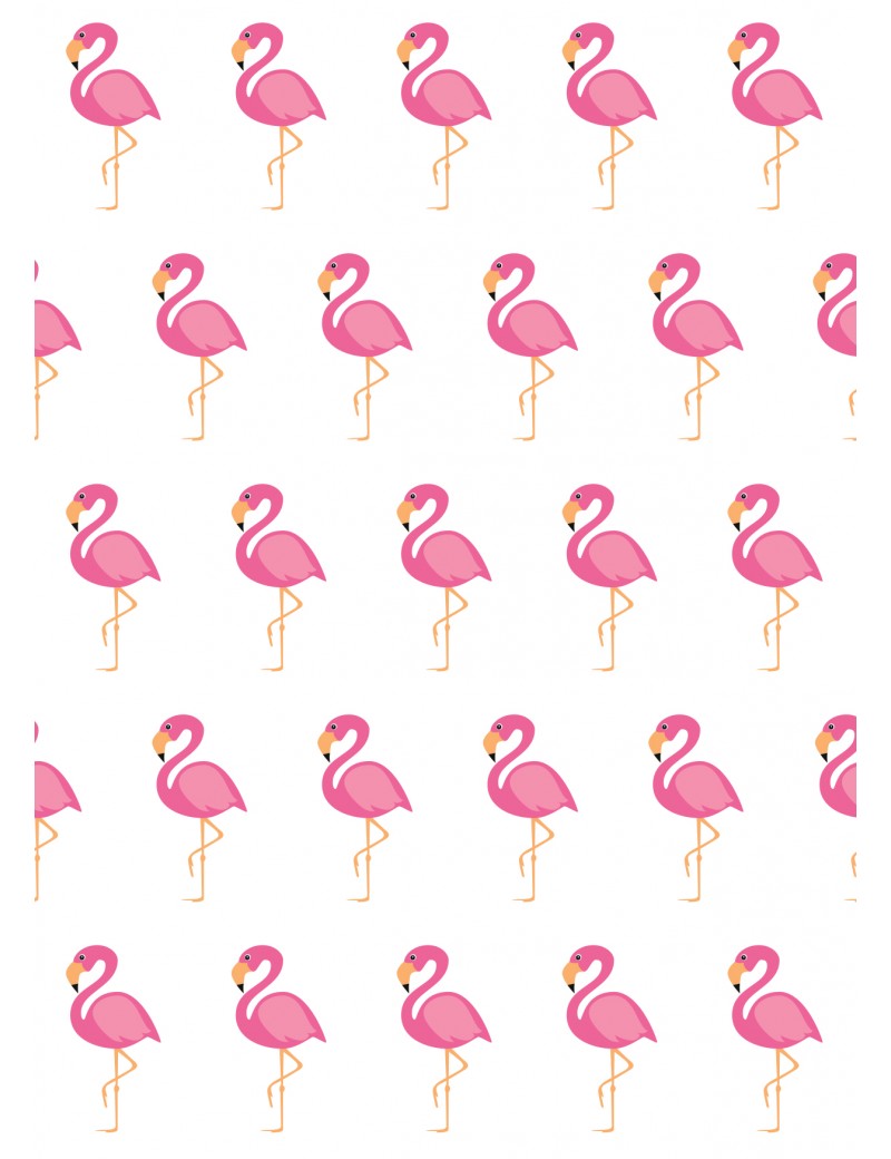 Pakket van 8: Wenskaart "Flamingo"