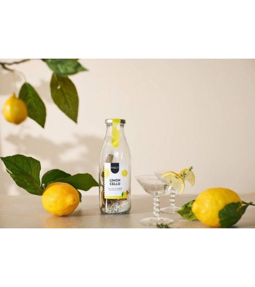 Pineut cocktail limoncello - Pineut