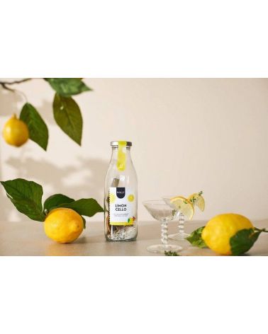 Pineut cocktail limoncello - Pineut