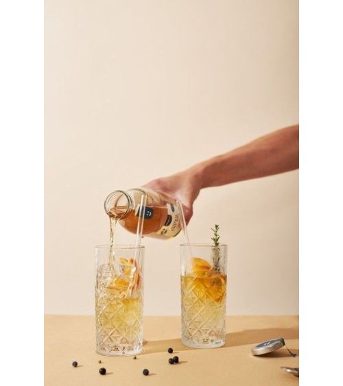 Pineut gin tonic zelf maken - Pineut