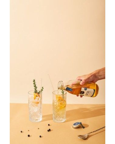 Pineut gin tonic zelf maken - Pineut