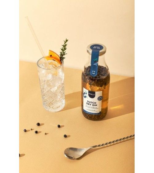 Pineut gin tonic zelf maken - Pineut