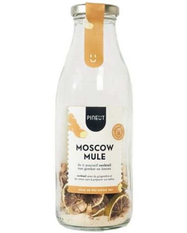 Pineut moscow mule zelf maken - Pineut