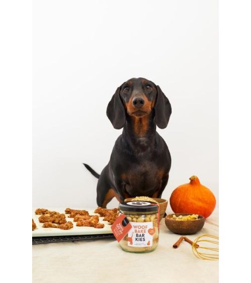 Pineut koekjes voor je hond - Pineut