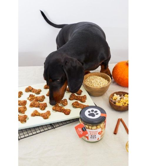 Pineut koekjes voor je hond - Pineut