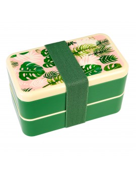 Bento box Palmbladeren
